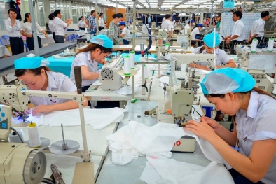 Phú Thọ: Hỗ trợ nâng cao năng suất, chất lượng trên nền tảng KH&CN và ĐMST