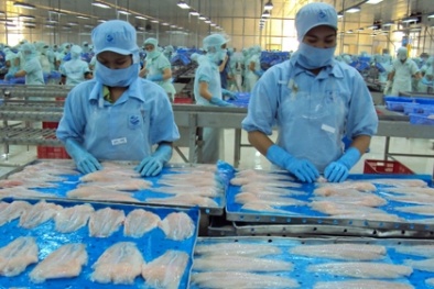 Xuất khẩu cá tra sang thị trường Mỹ tăng trưởng ấn tượng