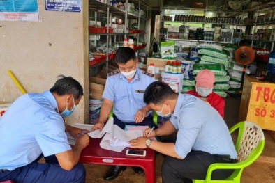 Xử phạt Công ty Thái Bình Gia Lai do không có Giấy chứng nhận đủ điều kiện buôn bán phân bón