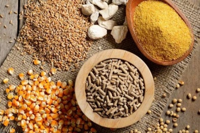 Đề xuất và thay thế các Quy định quản lý thức ăn chăn nuôi