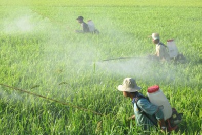 Dự thảo danh mục thuốc bảo vệ thực vật được phép sử dụng, cấm sử dụng