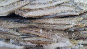 Xử lý cơ sở kinh doanh hải sản đông lạnh vi phạm về an toàn thực phẩm