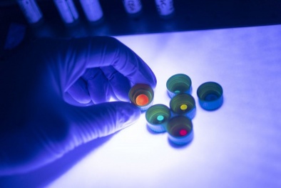 Loại kính chống nứt lấy cảm hứng từ bánh quy sô cô la có gì đặc biệt?