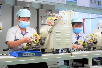 Nâng cao năng lực hoạt động tiêu chuẩn hóa và đánh giá sự phù hợp