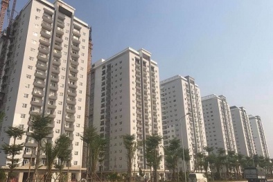 Điều tra, khởi tố hành vi vi phạm nghiêm trọng về kinh phí bảo trì chung cư