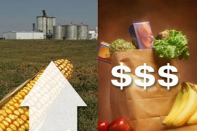 Giá lương thực thế giới ‘leo thang’ cao nhất trong 1 thập kỷ, giới chuyên gia lo ngại