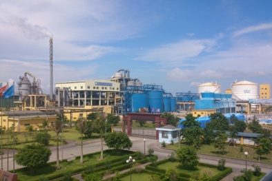 Chính phủ chỉ đạo xử lý doanh nghiệp, dự án kém hiệu quả của ngành Công Thương