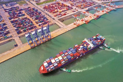 Doanh nghiệp logistic cần có quy tắc, quy trình bài bản theo quy chuẩn quốc tế