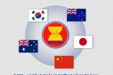 RCEP thiết lập các tiêu chuẩn và cơ chế thống nhất cho toàn bộ khu vực