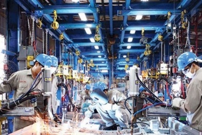 Xây dựng môi trường kinh doanh giúp doanh nghiệp phát triển bền vững