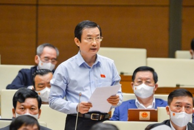 Chuyển đổi số nổi lên là một động lực tăng trưởng mới