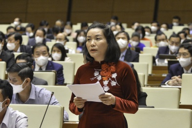 Đại biểu Quốc hội hiến kế phục hồi, phát triển kinh tế sau đại dịch Covid-19