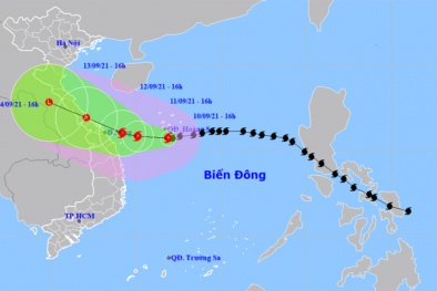 Nhiều sản phẩm từ nghiên cứu được thương mại hóa, ứng dụng vào thực tế