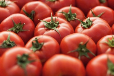 Cà chua biến đổi gen để tăng công dụng thư giãn, giảm huyết áp 