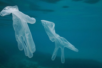 Rác thải nhựa đổ ra đại dương gia tăng gây thêm áp lực toàn cầu