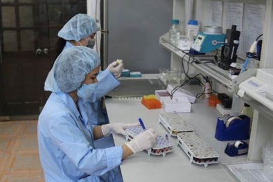 Ứng dụng phần mềm công nghệ trong xét nghiệm bệnh trên động vật