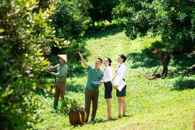 Đầu tư nông nghiệp – mắt xích thúc đẩy phục hồi kinh tế