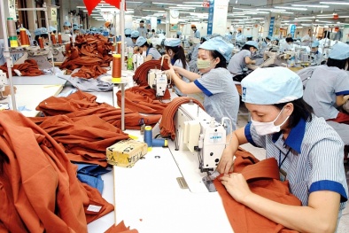 Hỗ trợ doanh nghiệp nâng cao năng suất chất lượng, sản phẩm hàng hóa