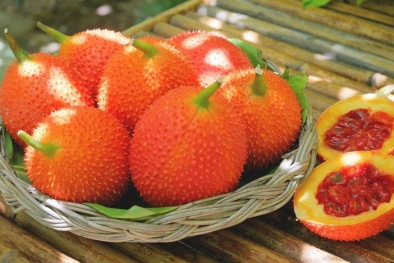 Quả gấc rất tốt cho sức khỏe nhưng cẩn trọng nguy cơ khi dùng sai cách
