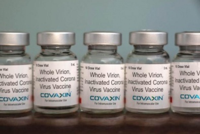 Việt Nam phê duyệt vaccine Covaxin của Ấn Độ