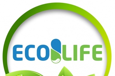 Công ty Cổ phần DP Ecolife bị phạt 97 triệu đồng vì 4 lỗi vi phạm nghiêm trọng