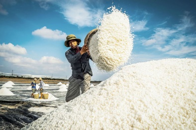 'Cú hích' gần 1.200 tỷ nhằm mục tiêu nâng cao sản xuất và giá trị hạt muối 