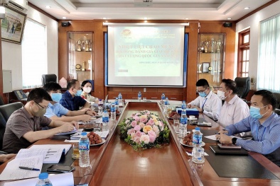 Tích cực hỗ trợ doanh nghiệp tham dự Giải thưởng Chất lượng Quốc gia