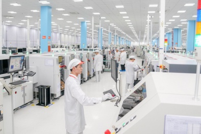 Yên Bái: Hỗ trợ doanh nghiệp nghiên cứu và ứng dụng công nghệ nâng cao năng suất 