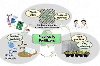 Phương pháp đặc biệt biến rác nhựa sinh học thành phân bón