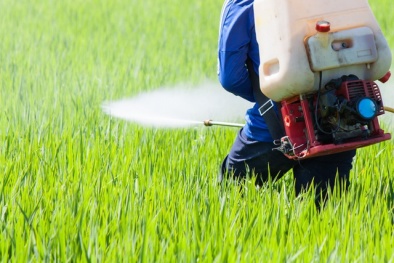 Cảnh báo: Buôn bán thuốc bảo vệ thực vật chứa chất cấm lộng hành, quy mô lớn