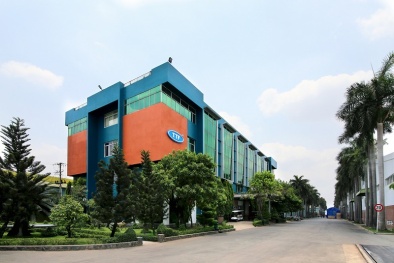 Gỗ Trường Thành bị xử phạt 100 triệu đồng