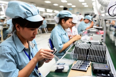 Áp dụng giải pháp về tiêu chuẩn, quy chuẩn kỹ thuật, nâng cao năng suất chất lượng sản phẩm
