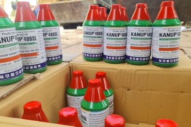 Cục Quản lý thị trường tỉnh Gia Lai tạm giữ 2.000 chai thuốc trừ cỏ chứa chất cấm 