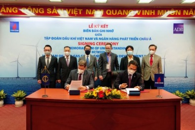 Thúc đẩy phát triển năng lượng sạch và bền vững tại Việt Nam