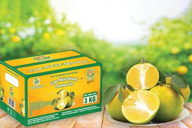 Thu hồi chứng nhận 5 sản phẩm OCOP tại tỉnh Hà Tĩnh