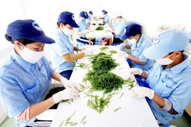 Khuôn khổ quản lý rủi ro theo ISO 31000
