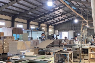 Tín hiệu tích cực giúp ngành gỗ lấy lại đà tăng trưởng