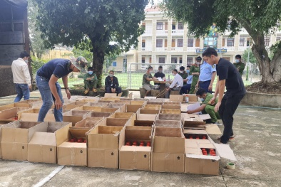 Thuốc bảo vệ thực vật chứa chất cấm 'hoành hành': Cần chế tài đủ mạnh