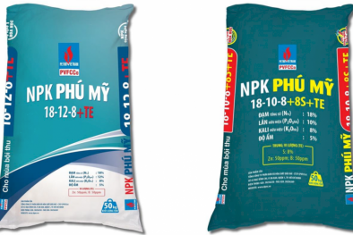 PVFCCo ra mắt 2 dòng sản phẩm NPK Phú Mỹ mới hàm lượng đạm cao