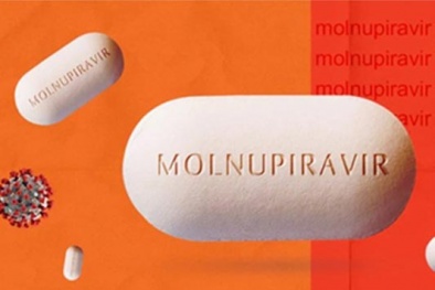  5 công ty dược trong nước xin nộp hồ sơ sản xuất thuốc kháng virus điều trị COVID-19