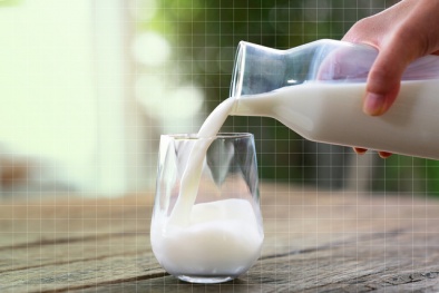 Rủi ro có thể gặp khi uống sữa tươi chưa tiệt trùng