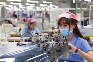 Doanh nghiệp đăng ký thành lập mới tăng mạnh