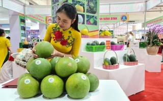 Hội chợ Đặc sản vùng miền 2021- cầu nối kích cầu sản xuất, tiêu thụ sản phẩm