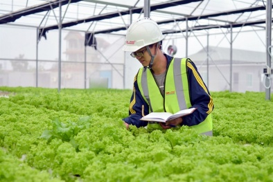 Ngành nông nghiệp: Cần hướng tới những 'giá trị xanh'