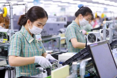 Sóc Trăng: Mục tiêu hỗ trợ 95 sản phẩm, hàng hóa áp dụng tiêu chuẩn cơ sở