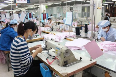 Hỗ trợ doanh nghiệp chuyển giao, đổi mới công nghệ để tạo ra sản phẩm chất lượng