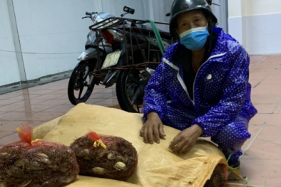 Bắt giữ 30 vụ vận chuyển trái phép hàng hóa vi phạm an toàn thực phẩm 