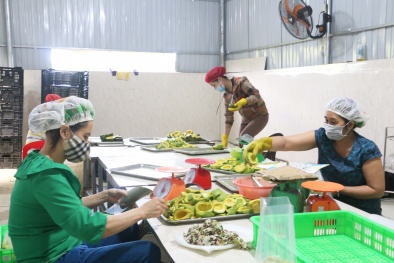 Năng suất phải trở thành động lực phát triển cho các ngành, lĩnh vực