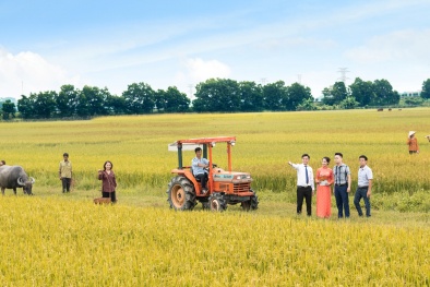LienVietPostBank: Cho vay nông nghiệp là ưu tiên hàng đầu, hiệu quả từ những 'cánh tay' nối dài