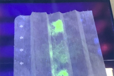 Nhật Bản: Phát triển loại khẩu trang 'phát sáng' giúp phát hiện virus SARS-CoV-2